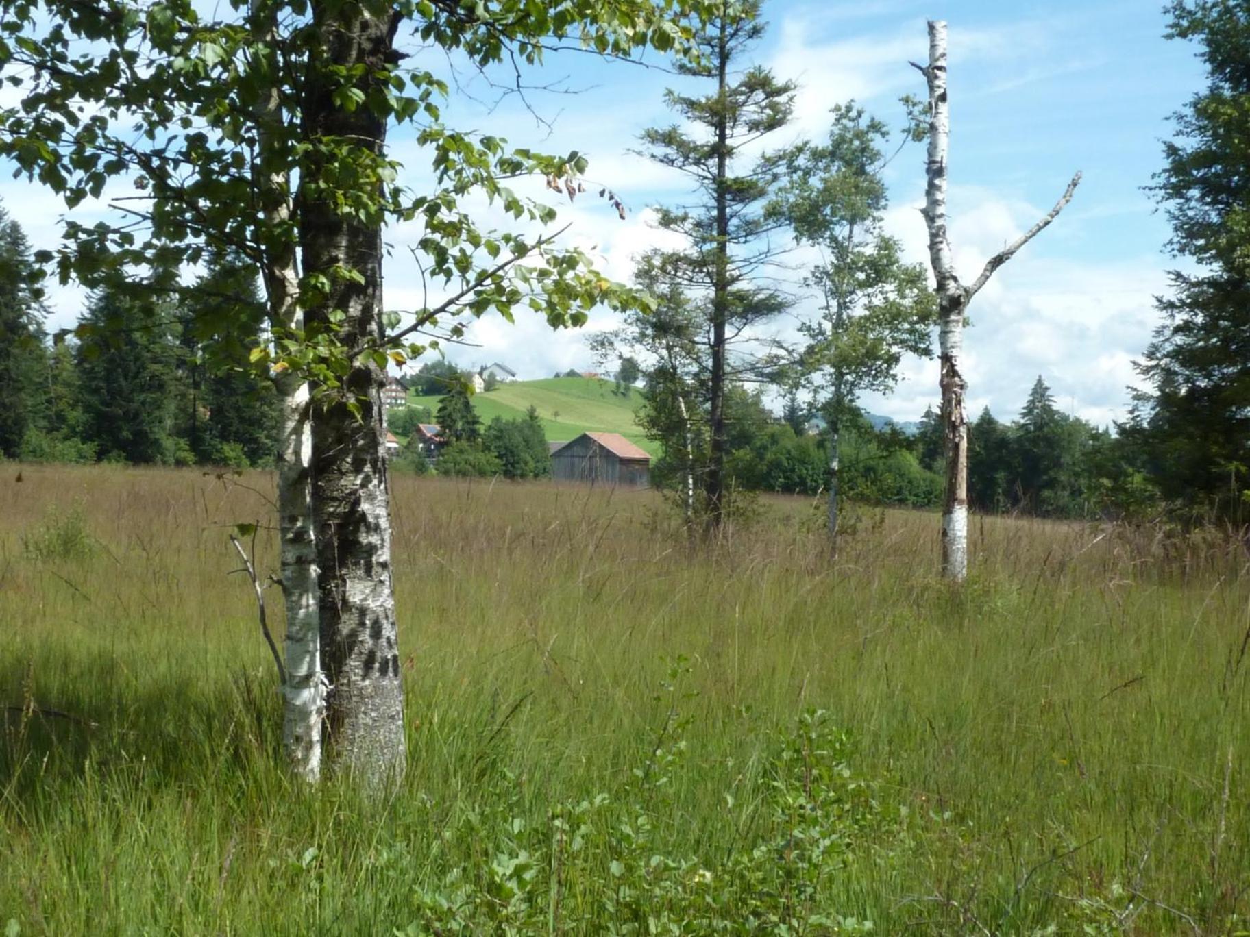 Naturparadies Silvia Alberschwende Eksteriør billede