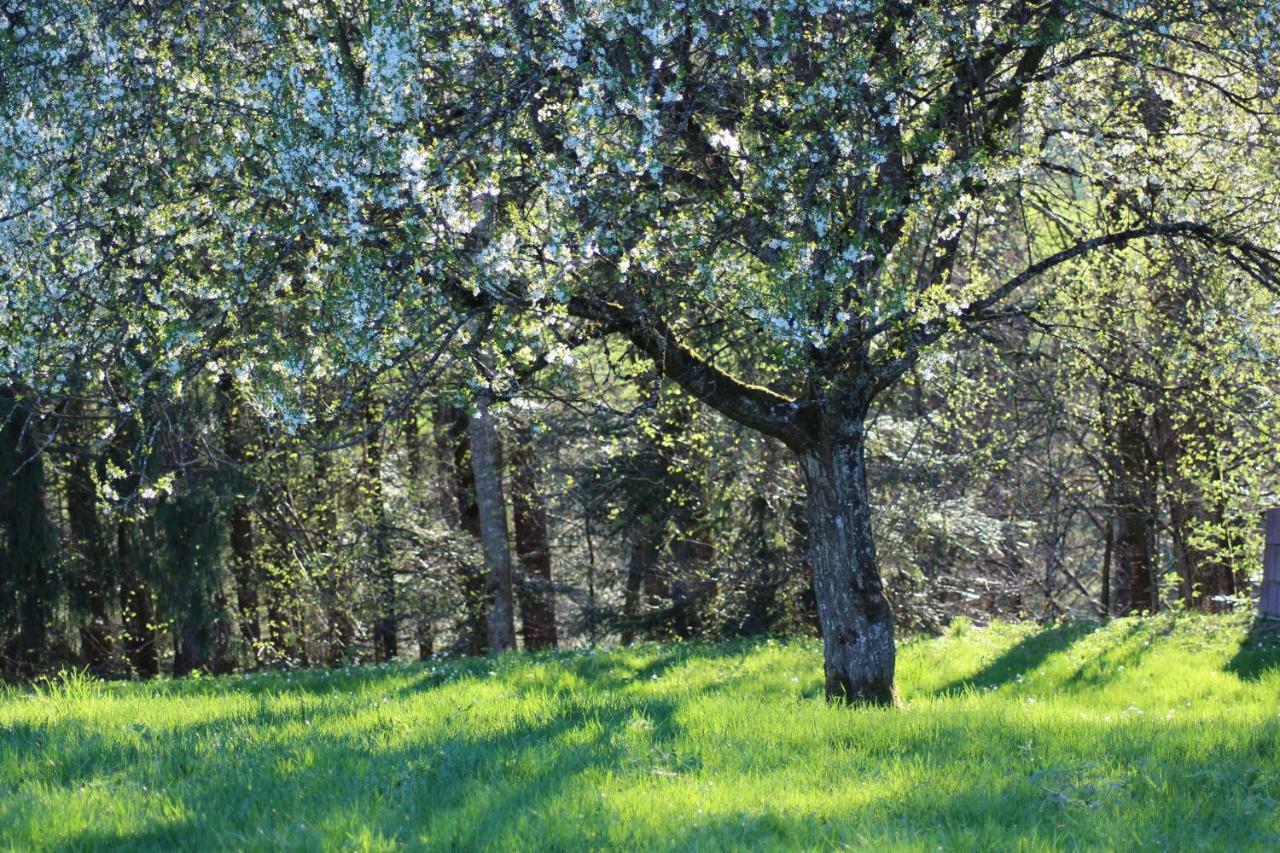 Naturparadies Silvia Alberschwende Eksteriør billede